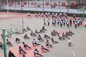 炉石传说职业选手卡组选择趋势